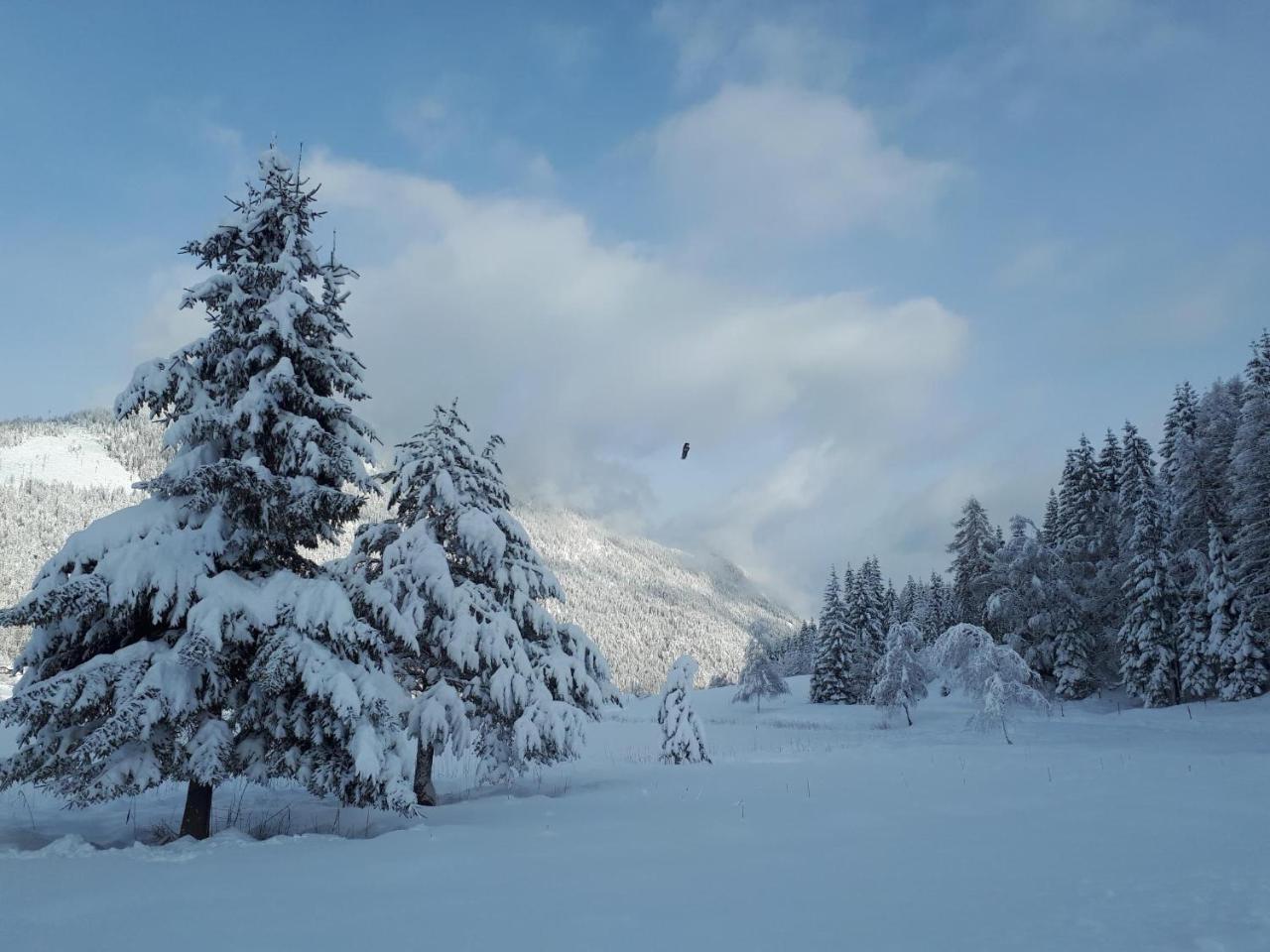 Ferienwohnungen Mitterer Weissensee Buitenkant foto